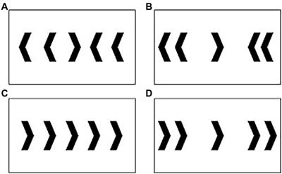 Chronic Exercise as a Modulator of Cognitive Control: Investigating the Electrophysiological Indices of Performance Monitoring